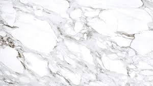 Calacatta Marble Suppliers
